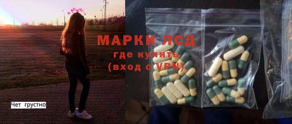 прущие грибы Абинск