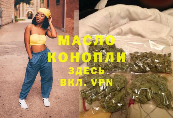 индика Абаза