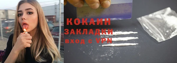 индика Абаза
