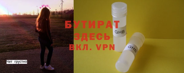 индика Абаза