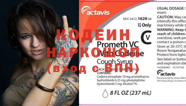 индика Абаза