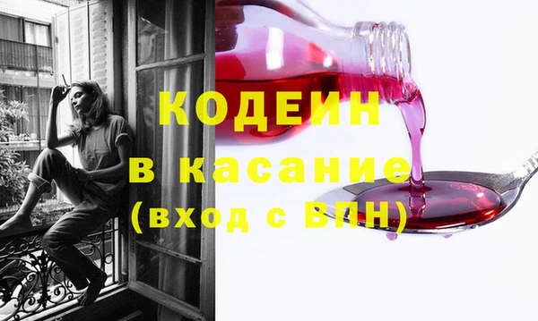 прущие грибы Абинск