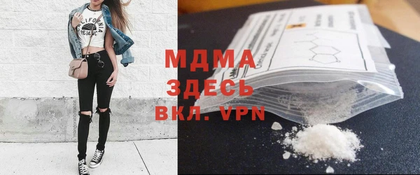 прущие грибы Абинск