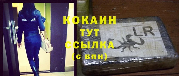 прущие грибы Абинск