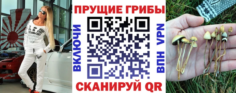 Псилоцибиновые грибы Psilocybe хочу Катайск